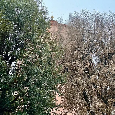 Apartment La Casa Degli Artisti