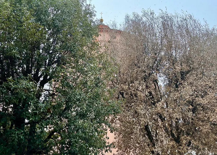 Apartman La Casa Degli Artisti